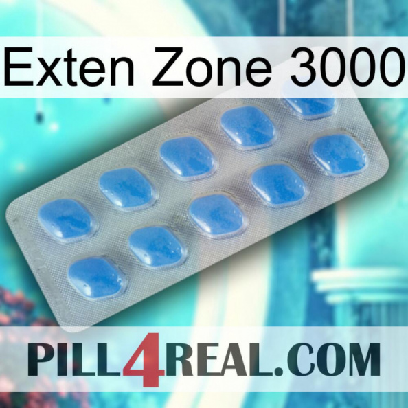 Exten Zone 3000 22.jpg